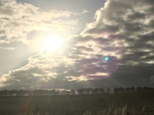 img_0429